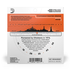 D'Addario EJ42 16-56 Resophonic, Phosphor Bronze