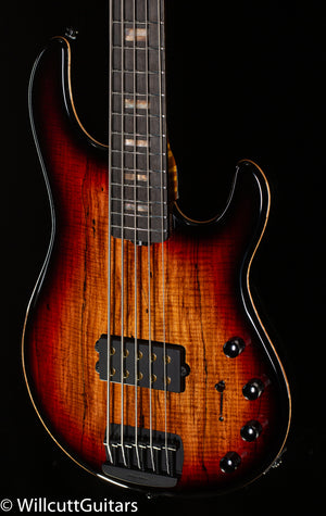 Ernie Ball Music Man StingRay 5 35th Anniversary Spalted Sunburst (453)