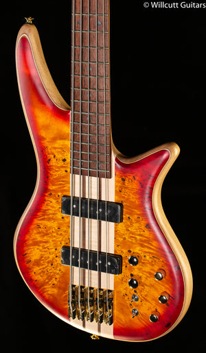 Jackson Pro Series Spectra Bass SBP V Caramelized Jatoba Fingerboard Transparent Cherry Burst Bass Guitar (257)