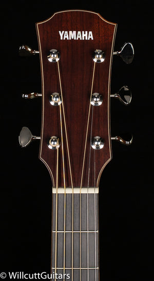 Yamaha AC5RVN Concert Cutaway (12A)