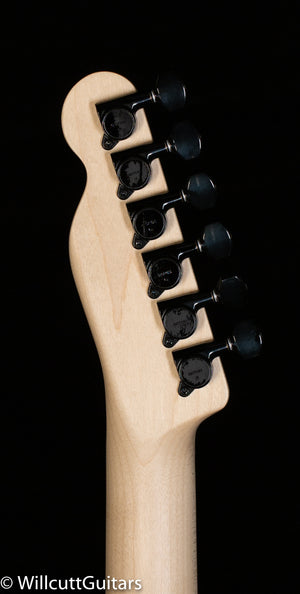 Fender Boxer Series Telecaster HH Inca Silver Rosewood (240)