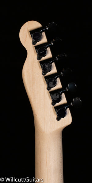 Fender Boxer Series Telecaster HH Inca Silver Rosewood (430)