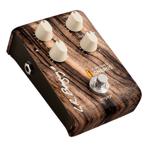 L. R. Baggs ALIGN SERIES CHORUS
