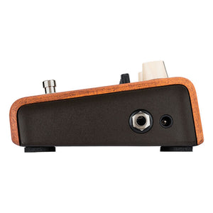 L. R. Baggs ALIGN SERIES EQUALIZER