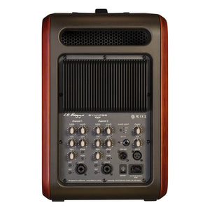 L. R. Baggs Synapse Personal PA System