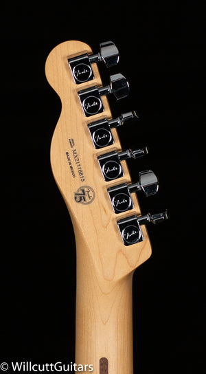 Fender Player Telecaster HH Silver Pau Ferro