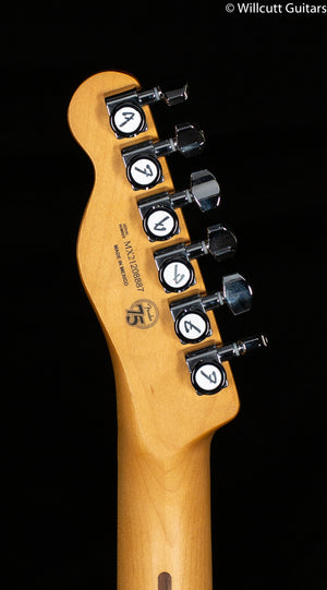 Fender Player Plus Nashville Telecaster Butterscotch Blonde