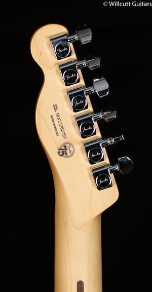 Fender Player Telecaster Black Maple (791)