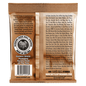 Ernie Ball Light Earthwood Phosphor Bronze 12-String Set