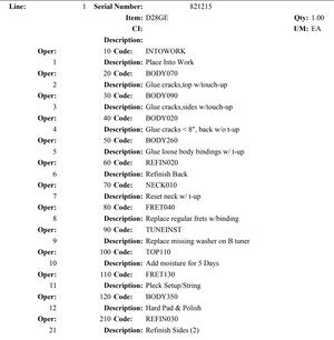 Martin Golden Era D-28 Brazilian Rosewood