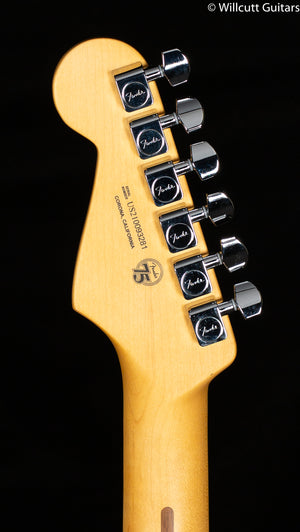 Fender American Professional II Stratocaster Dark Night Rosewood (281)