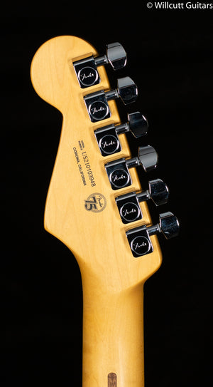 Fender American Professional II Stratocaster Roasted Pine Maple Fingerboard (948)