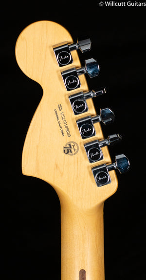 Fender American Professional II Telecaster Deluxe Mercury Rosewood Fingerboard (639)