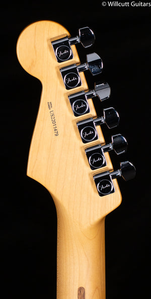 Fender American Professional II Stratocaster Roasted Pine Rosewood Fingerboard (479)