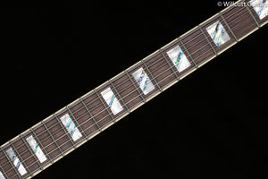 D'Angelico Deluxe Brighton LE Sage P-90's
