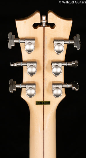 D'Angelico Deluxe Atlantic LE Sage