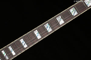 D'Angelico Deluxe Atlantic LE Sage