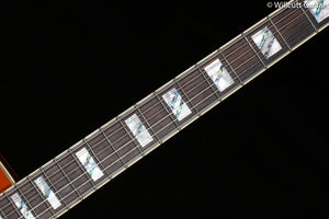 D'Angelico Deluxe SS Limited Edition Rust (347)