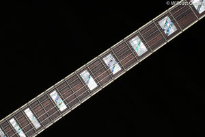 D'Angelico Deluxe DC Limited Edition Sage