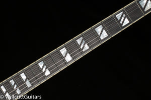 D'Angelico Deluxe DC Satin Brown Burst Limba (302)