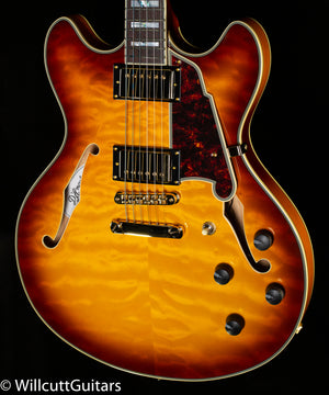 D'Angelico Excel DC XT Iced Tea Burst (757)