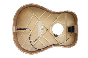 L. R. Baggs ANTHEM SL