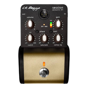 L. R. Baggs Session DI