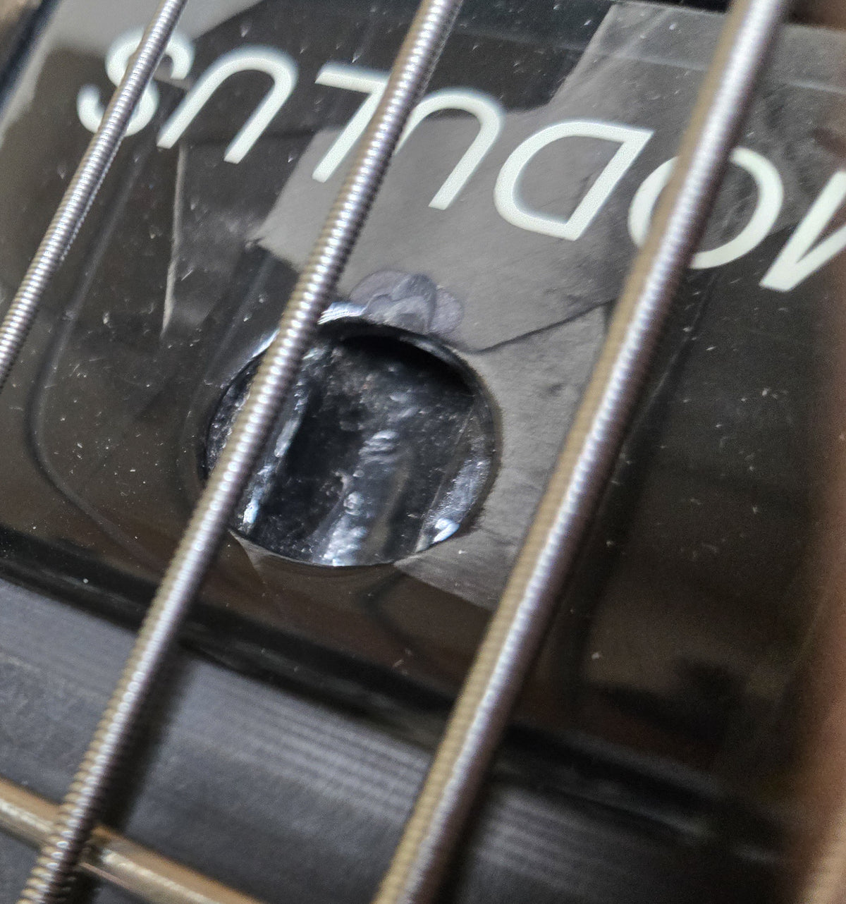 2002 Modulus Quantum 5 String Bass Blackstone