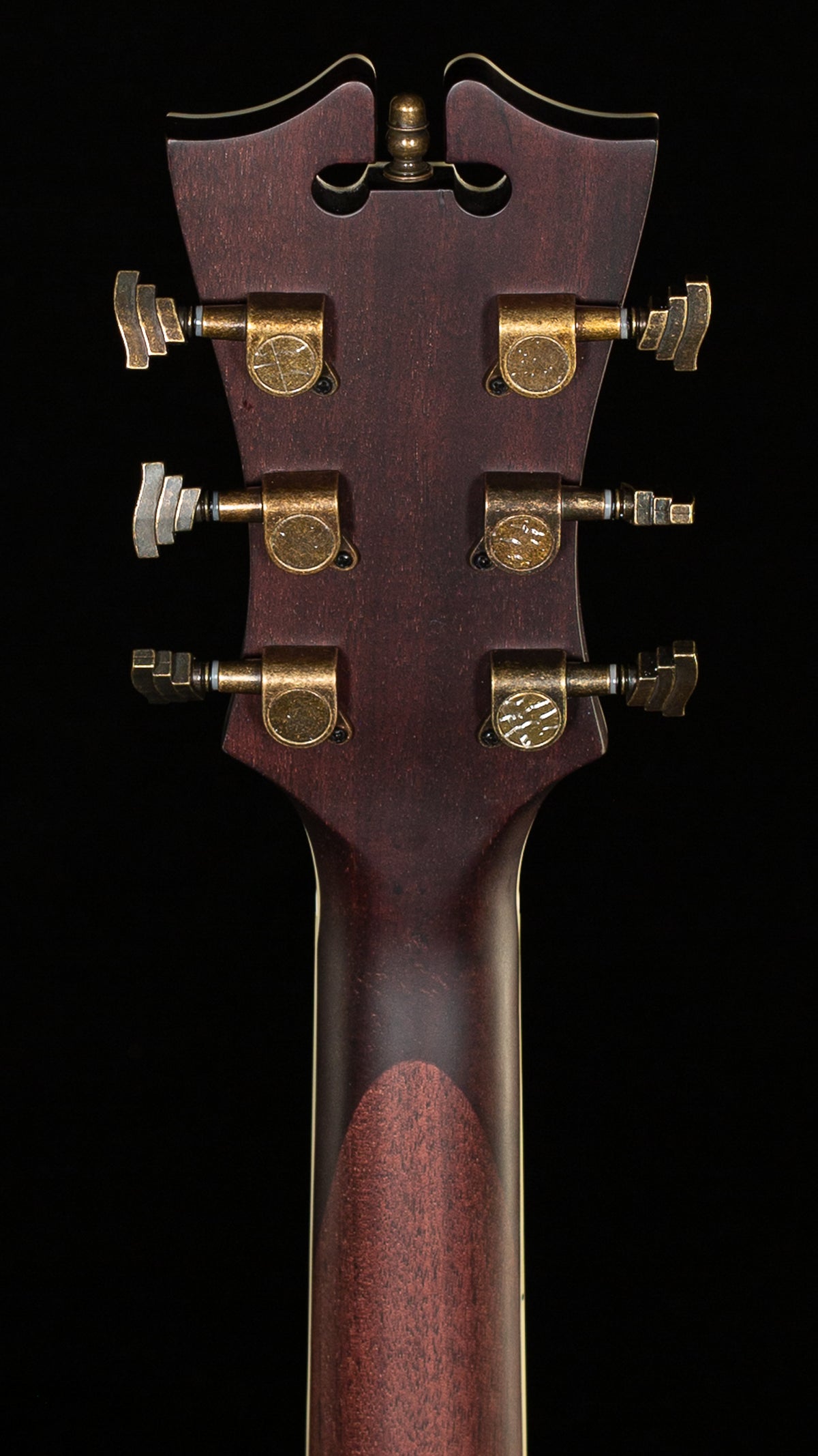 D'Angelico Premier Grateful Dead Tammany (702)