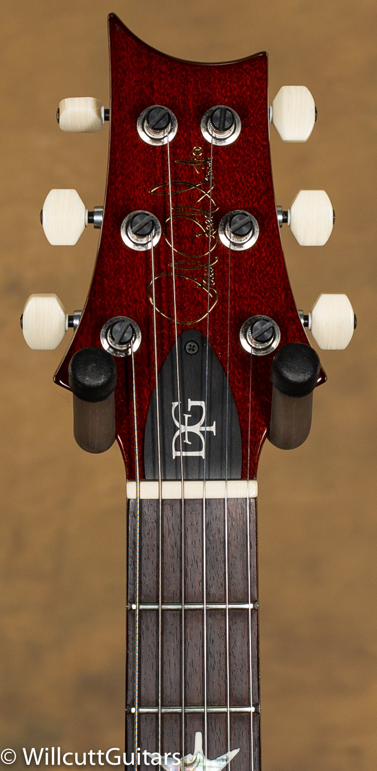 PRS DGT Goldtop Birds