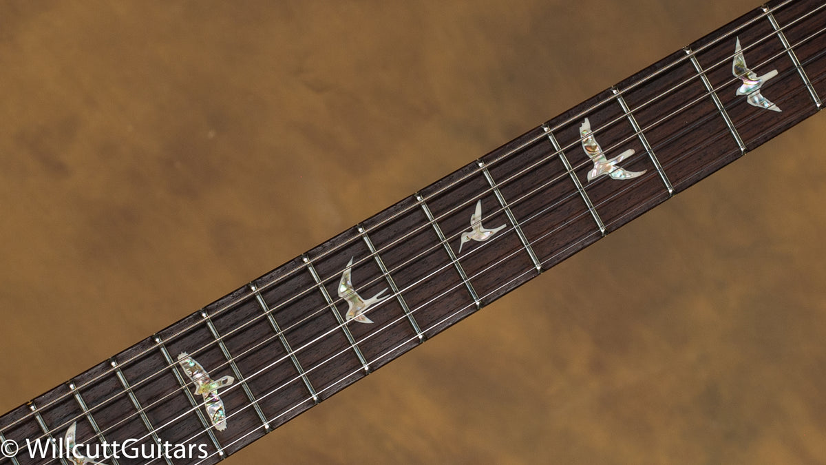 PRS DGT Goldtop Birds