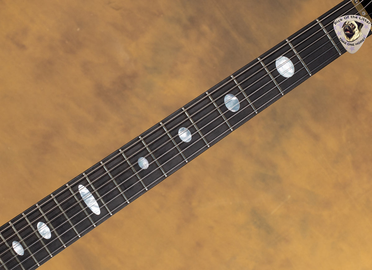 2002 Alembic Tribute Cocobolo