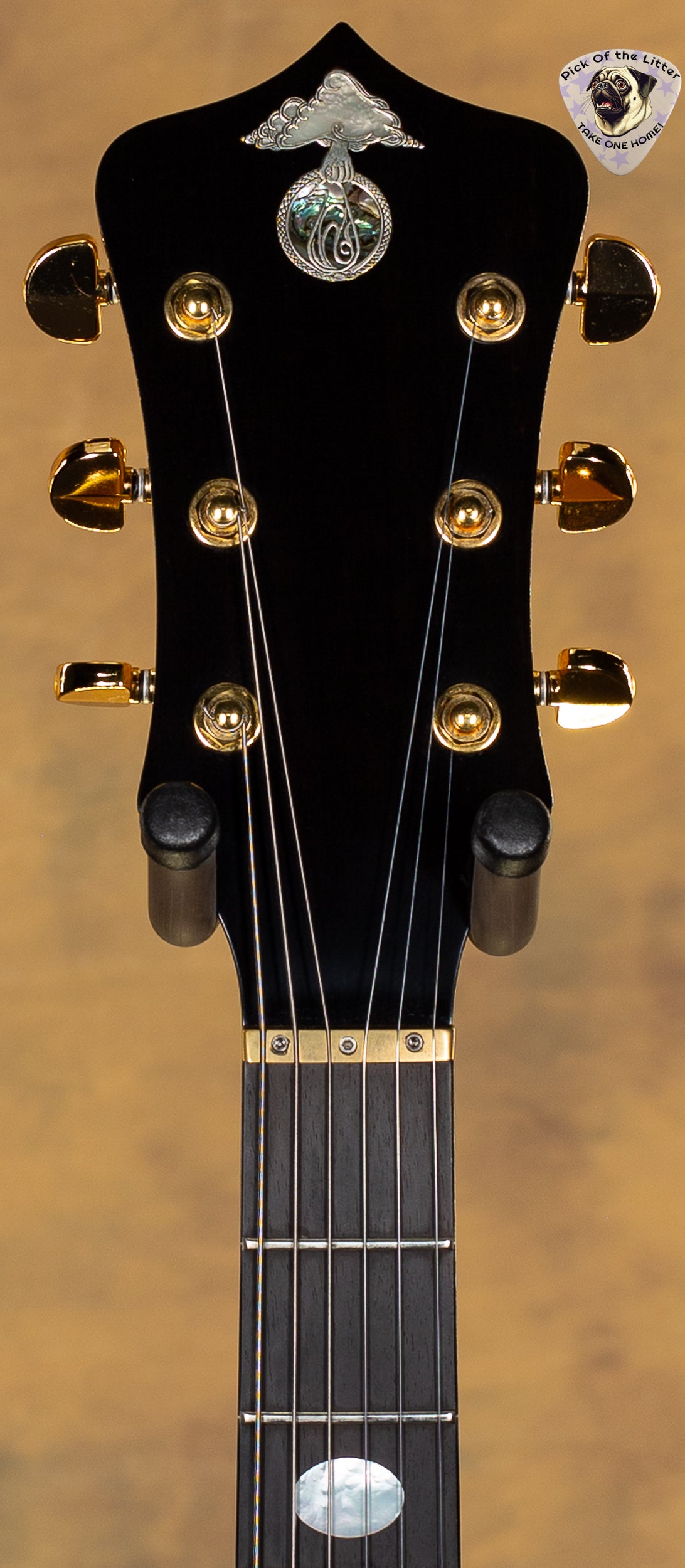 2002 Alembic Tribute Cocobolo