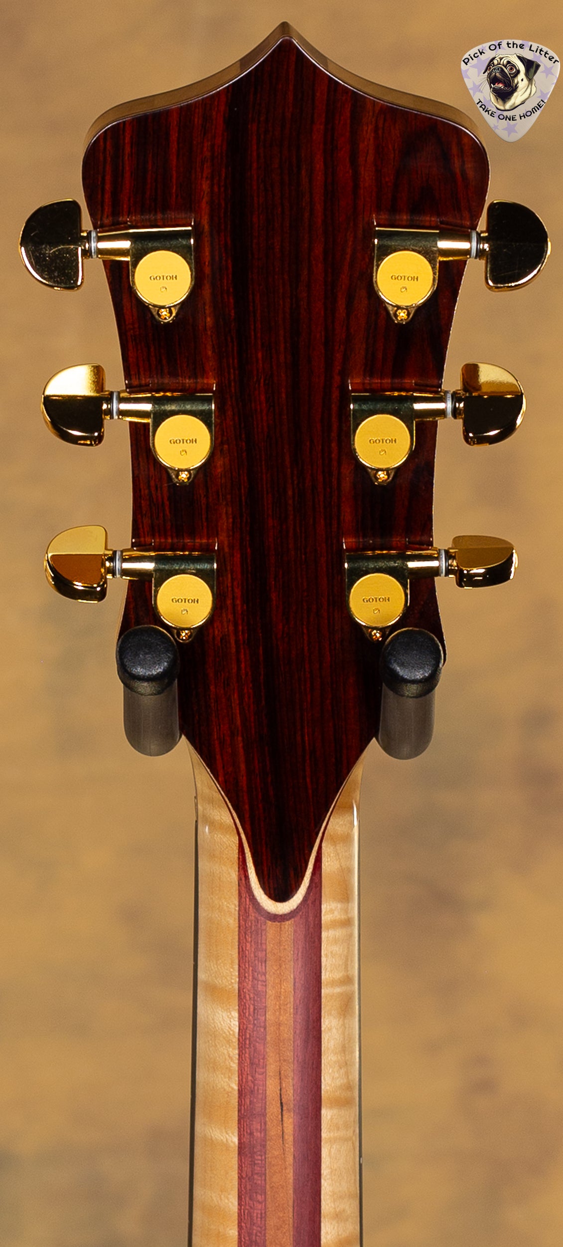 2002 Alembic Tribute Cocobolo