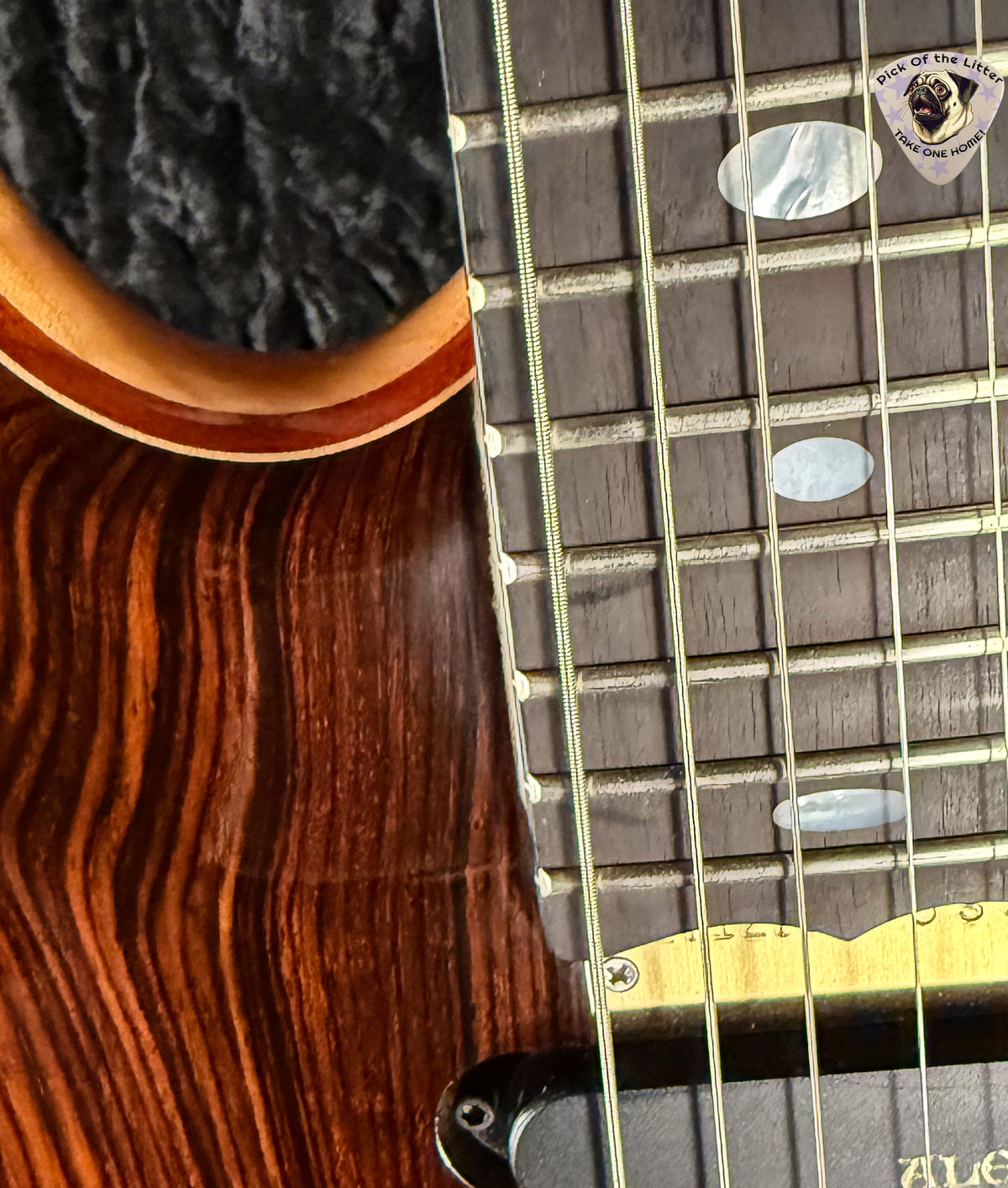 2002 Alembic Tribute Cocobolo