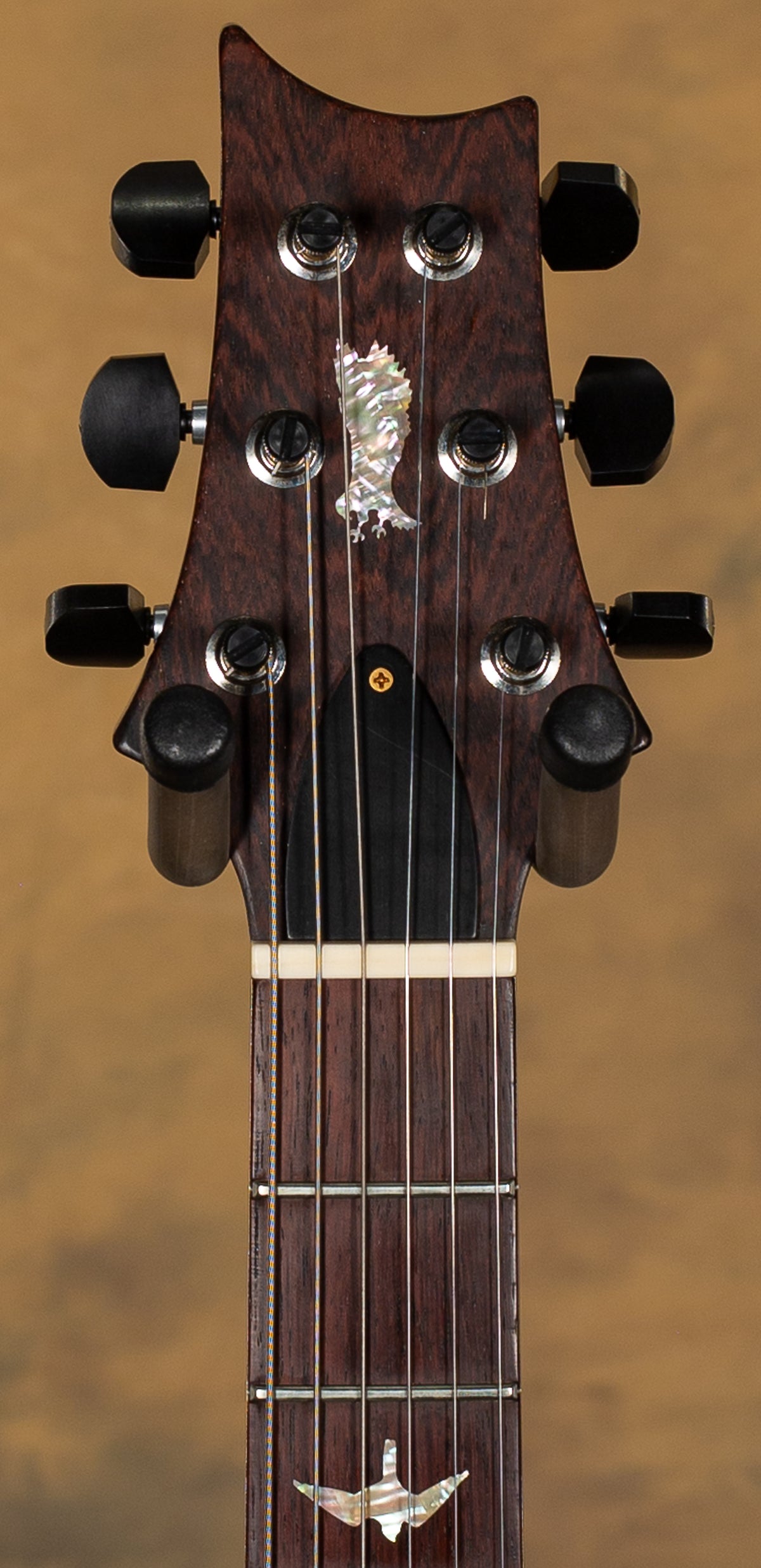 2020 PRS Experience 2020 Limited Edition Modern Eagle V