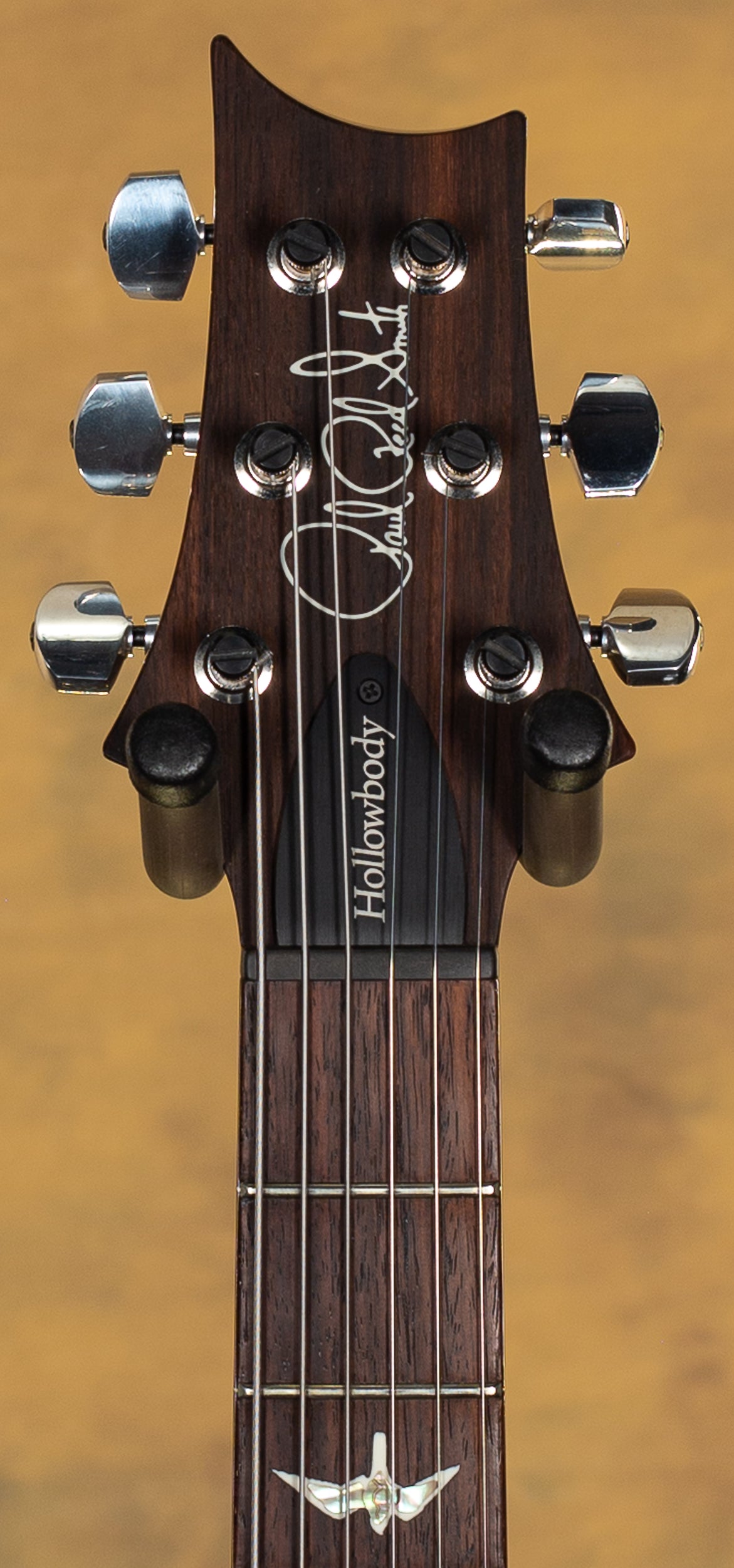 2021 PRS Hollowbody II Custom Color Eriza Verde Smokeburst