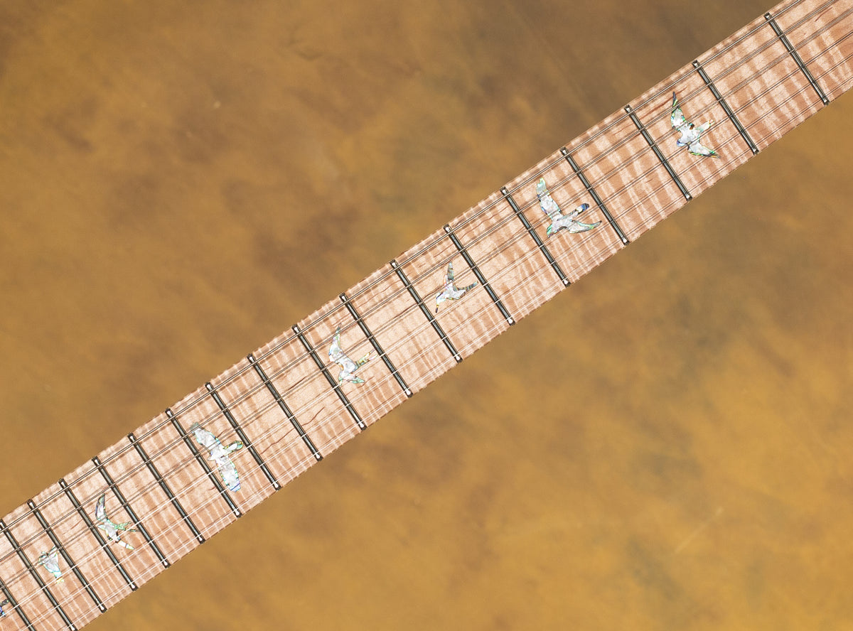 2022 PRS Wood Library Custom 24 10 Top