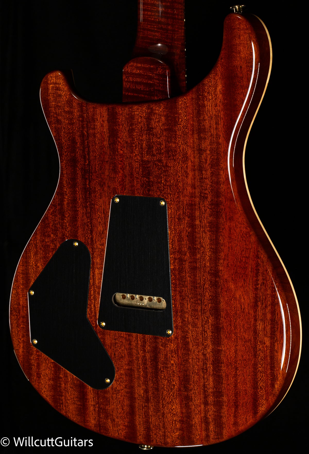 PRS Wood Library DGT Gold Top Brazilian (220)