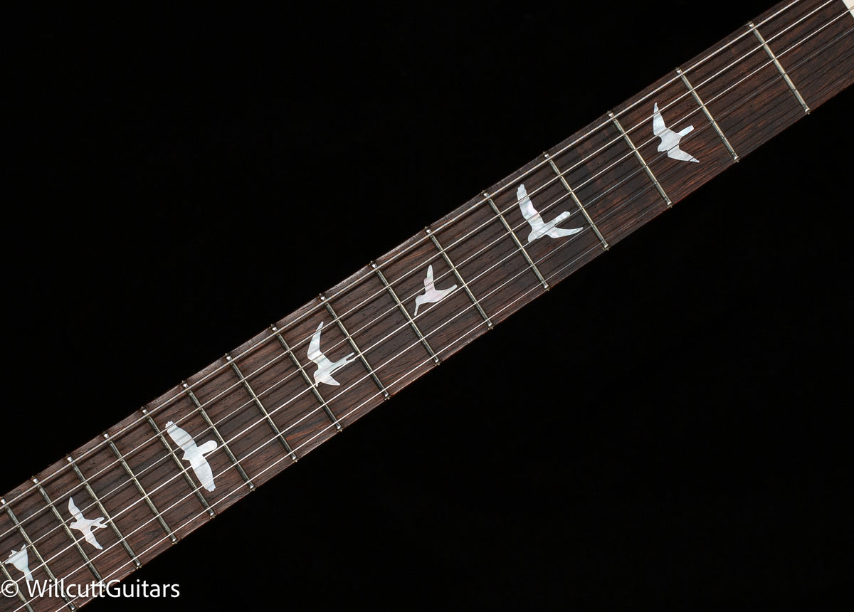 PRS Wood Library DGT Gold Top Brazilian (220)