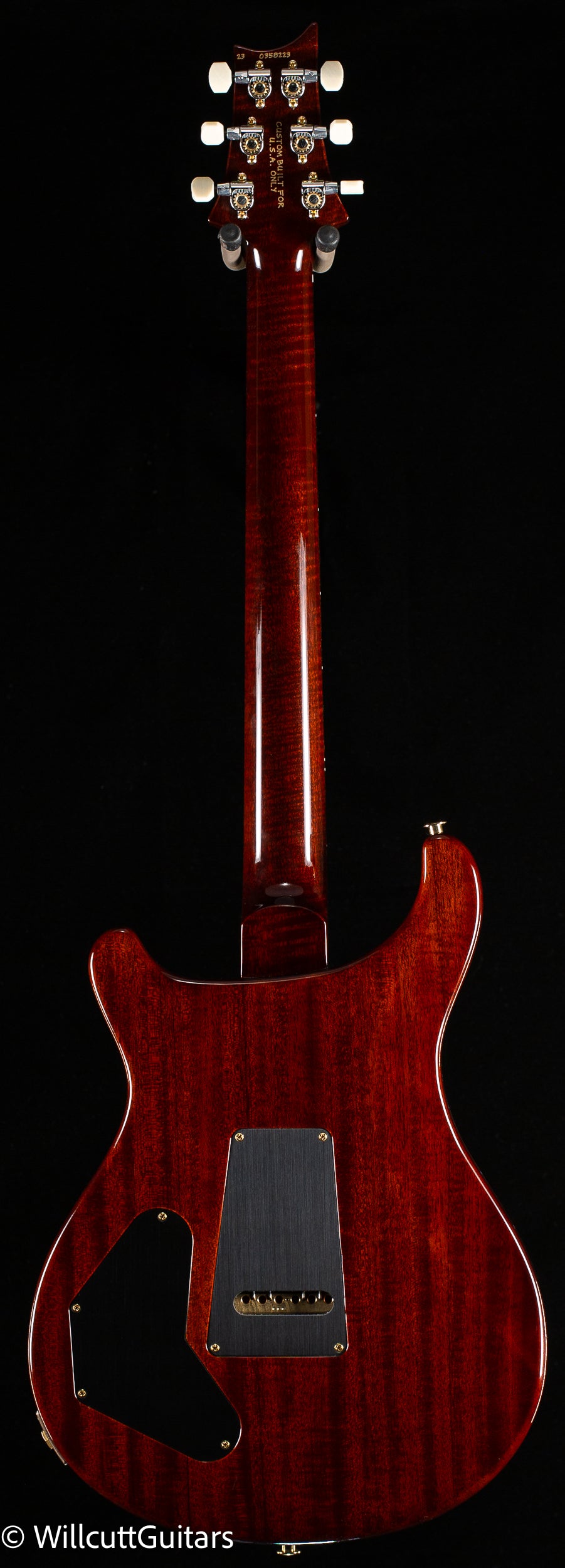 PRS Wood Library DGT Gold Top Brazilian (223)