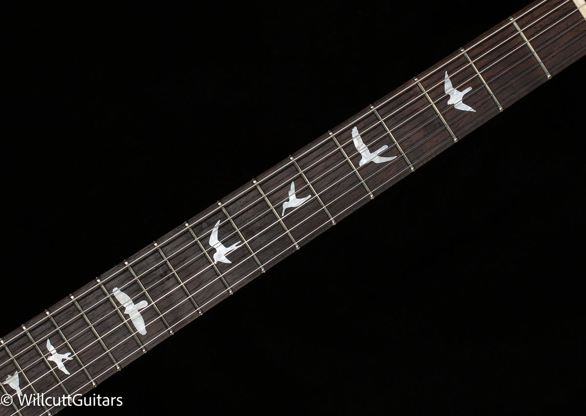 PRS Wood Library DGT Gold Top Brazilian (223)