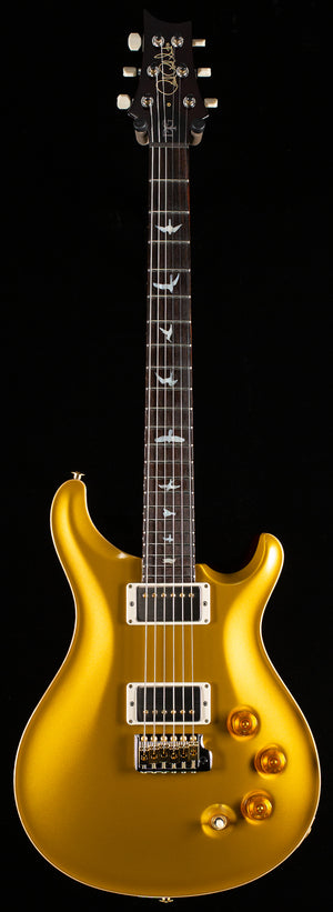 PRS Wood Library DGT Gold Top Brazilian (224)