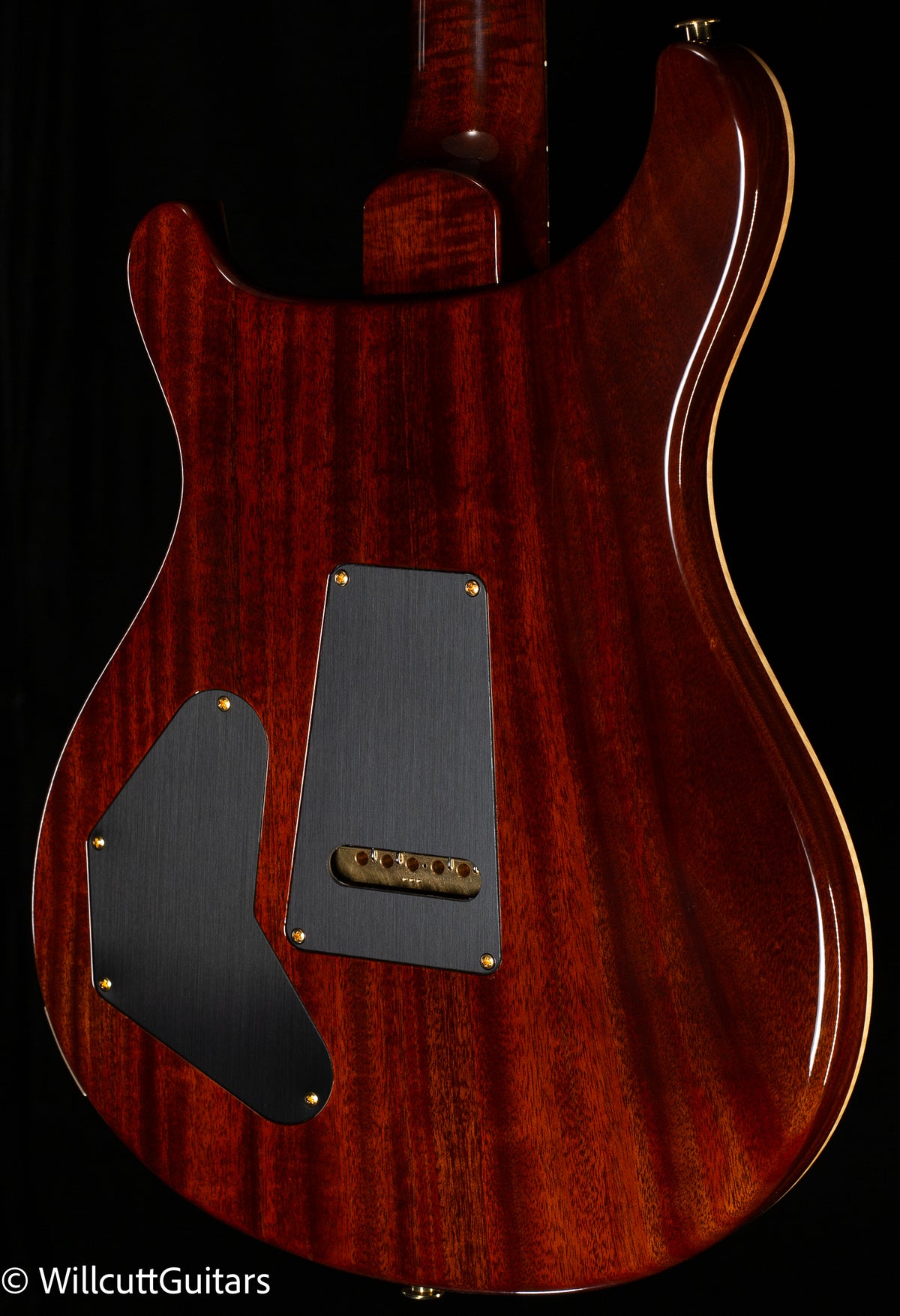 PRS Wood Library DGT Gold Top Brazilian (225)