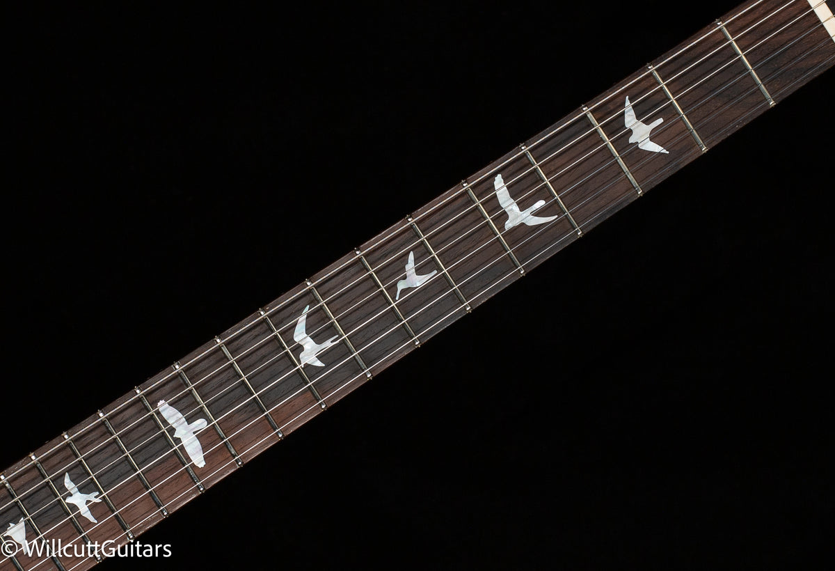 PRS Wood Library DGT Gold Top Brazilian (225)