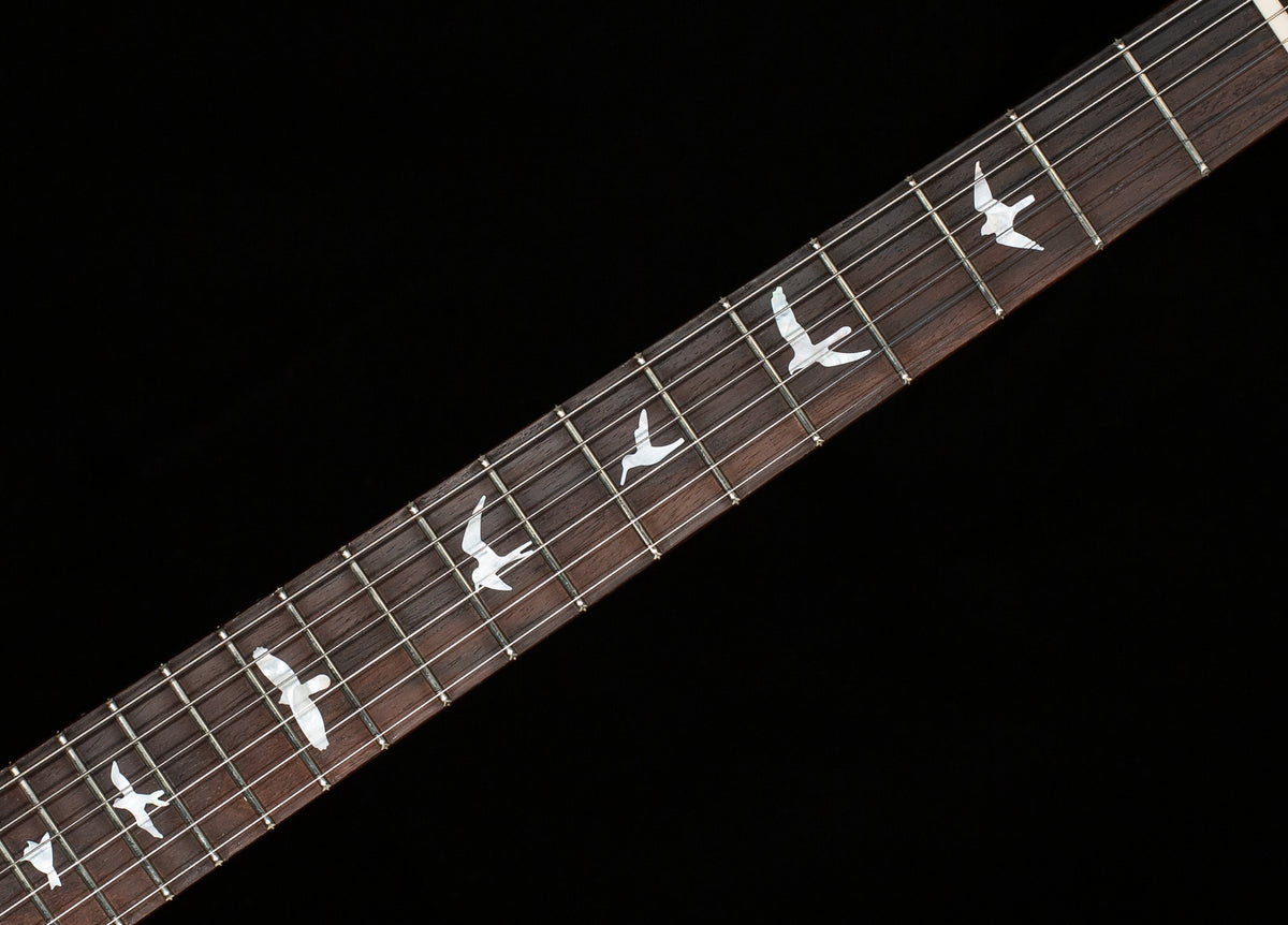 PRS Wood Library DGT Gold Top Brazilian (227)