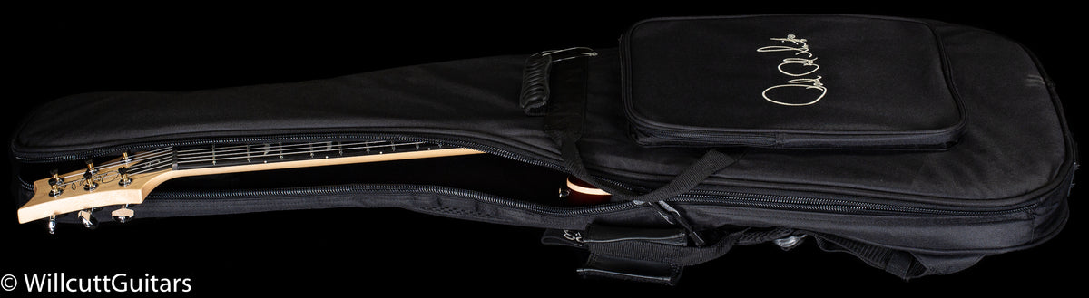 PRS CE 24 Willcutt Exclusive Tortoise Shell (156)