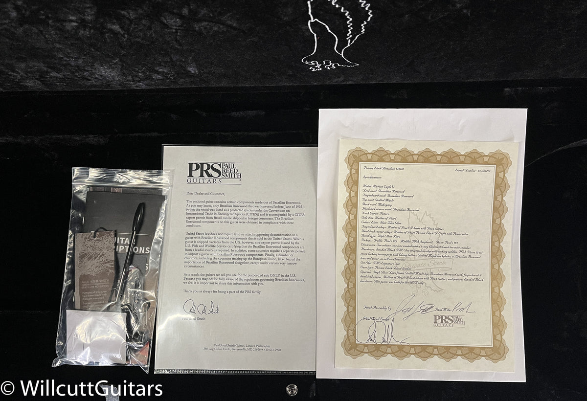 PRS Private Stock 10262 Modern Eagle V Slate Blue Glow (720)