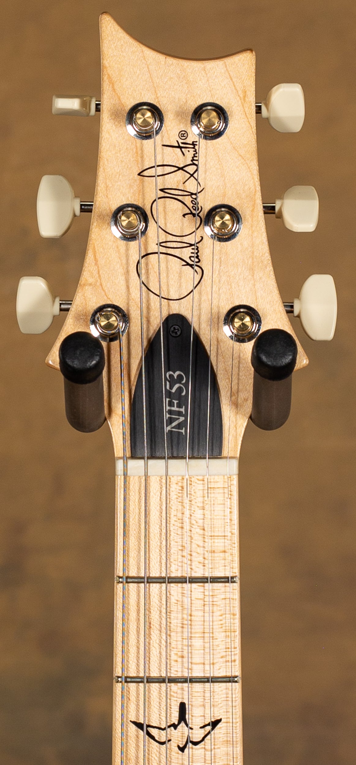 PRS NF 53 Swamp Ash Body Blue Matteo