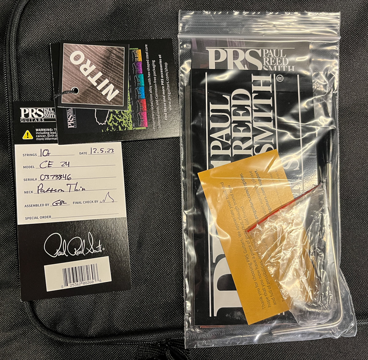 PRS CE 24 Eriza Verde (346)